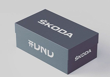 Фирменная картонные коробки Skoda